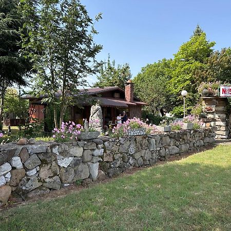Villa Borovitsa Zewnętrze zdjęcie