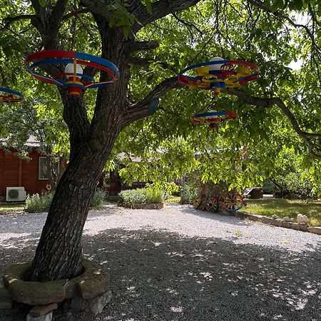 Villa Borovitsa Zewnętrze zdjęcie