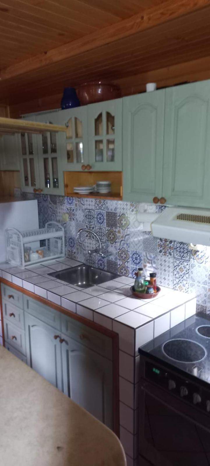 Villa Borovitsa Zewnętrze zdjęcie