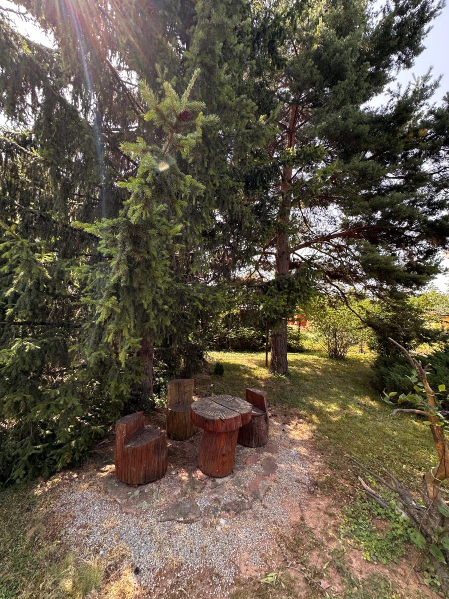 Villa Borovitsa Zewnętrze zdjęcie
